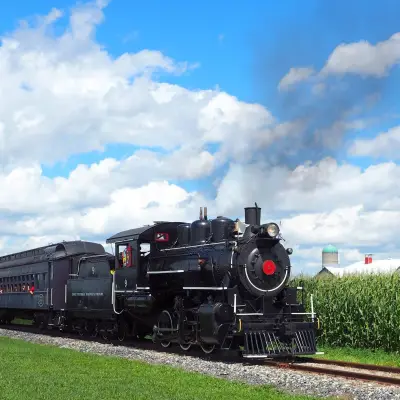 a train that is sitting in the grass