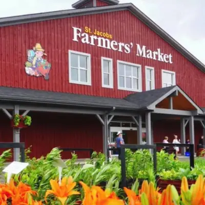 a close up of a flower garden in front of a building