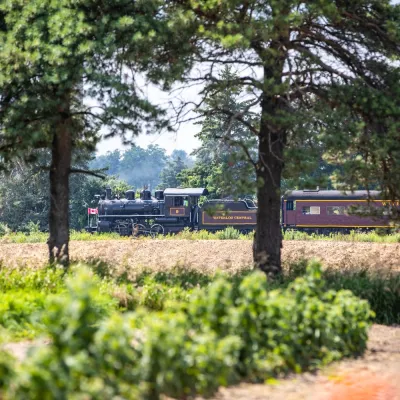 a train traveling down tracks next to a tree