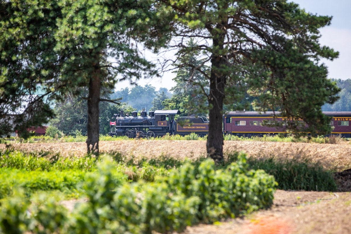 69775559_10157046036512839_8877425941719023616_n a train traveling down tracks next to a tree
