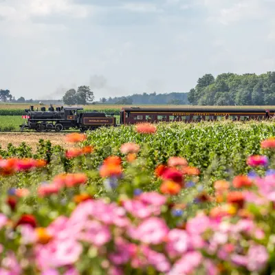 a train pulls into a flower field