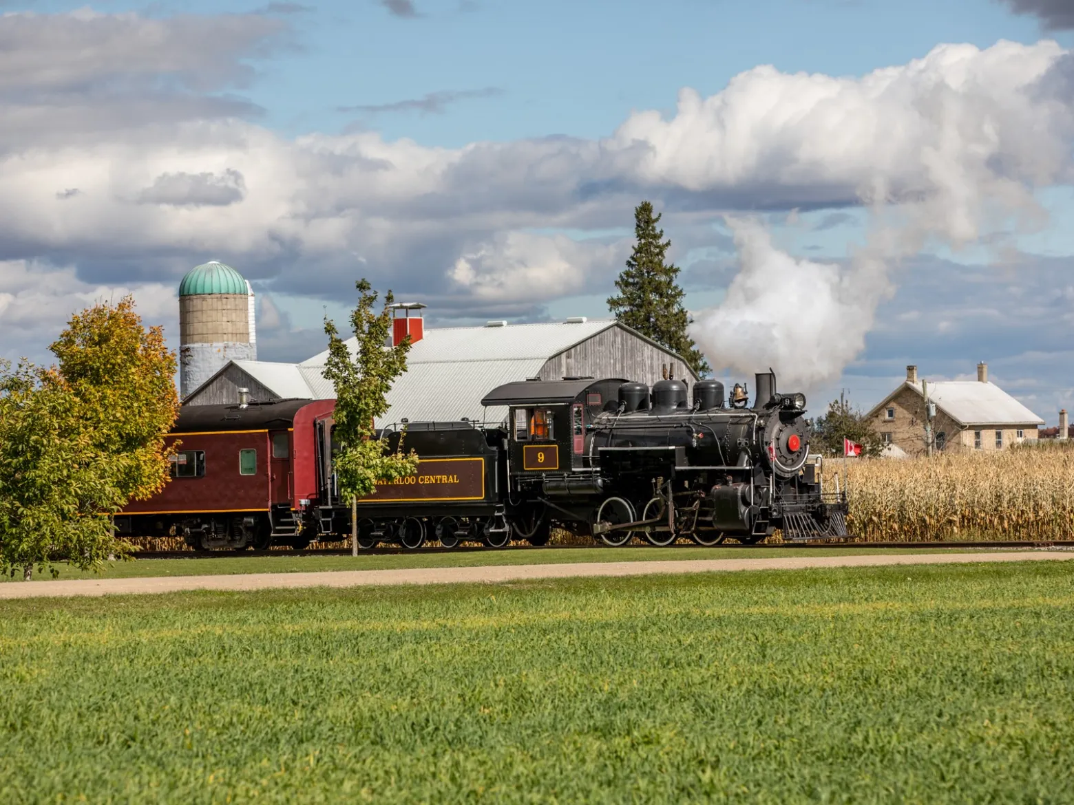 a train that is sitting in the grass