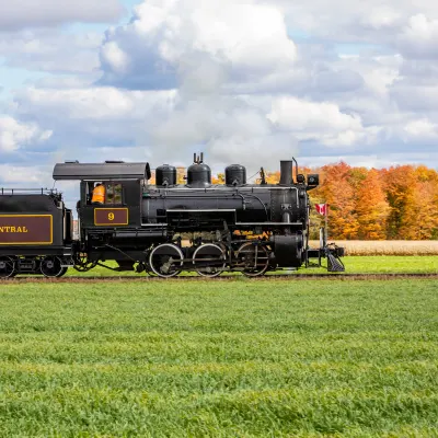 a train that is sitting on top of a grass covered field