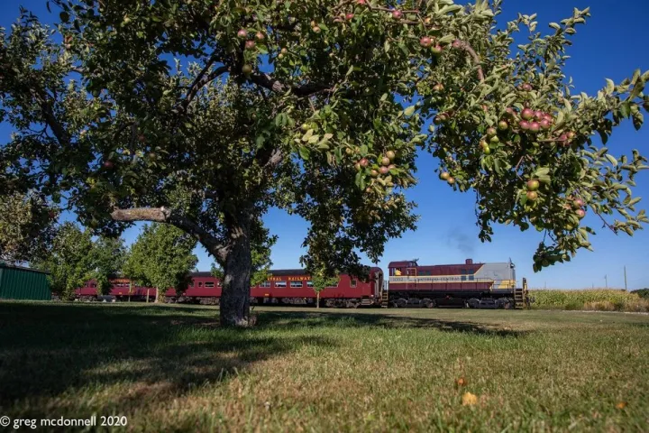 a train traveling down tracks next to a tree