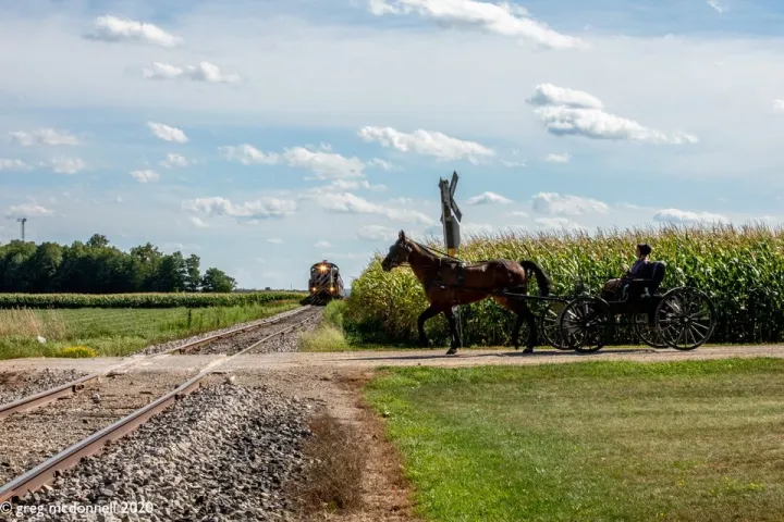 a group of people walking down a dirt road