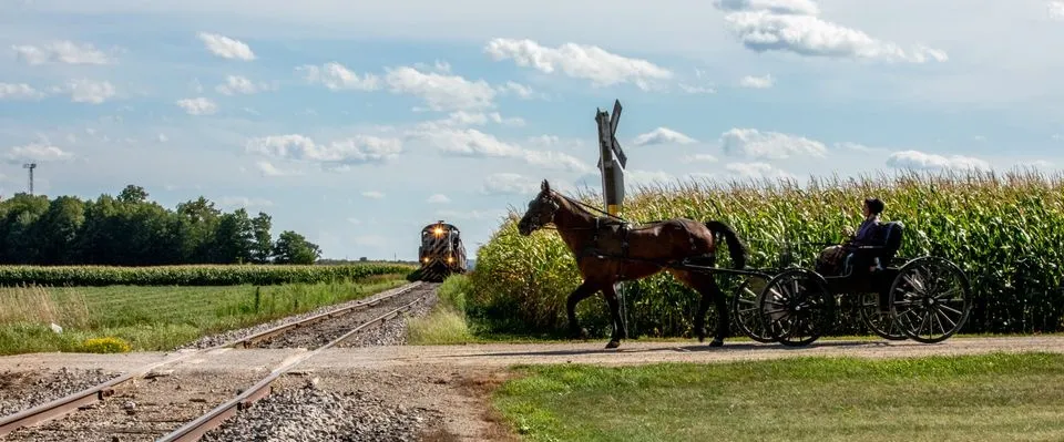 a group of people walking down a dirt road