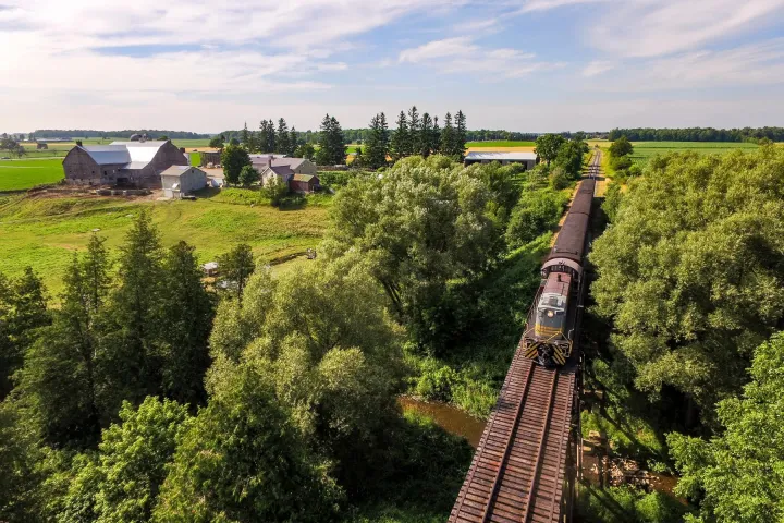 a large green field with trees in the background