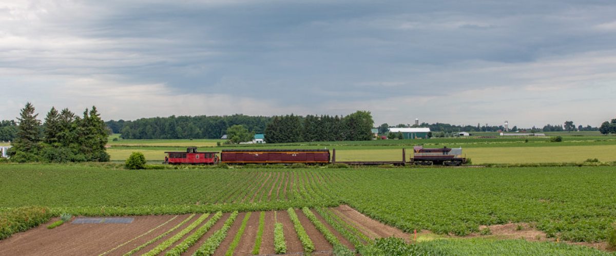 a large long train on a lush green field
