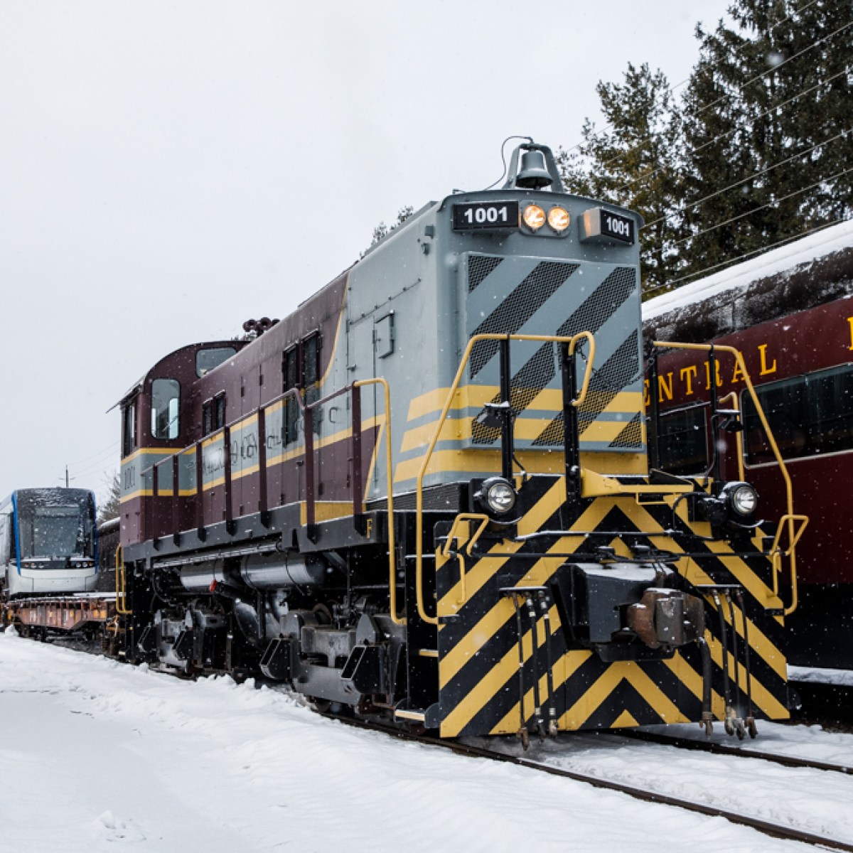 a train covered in snow