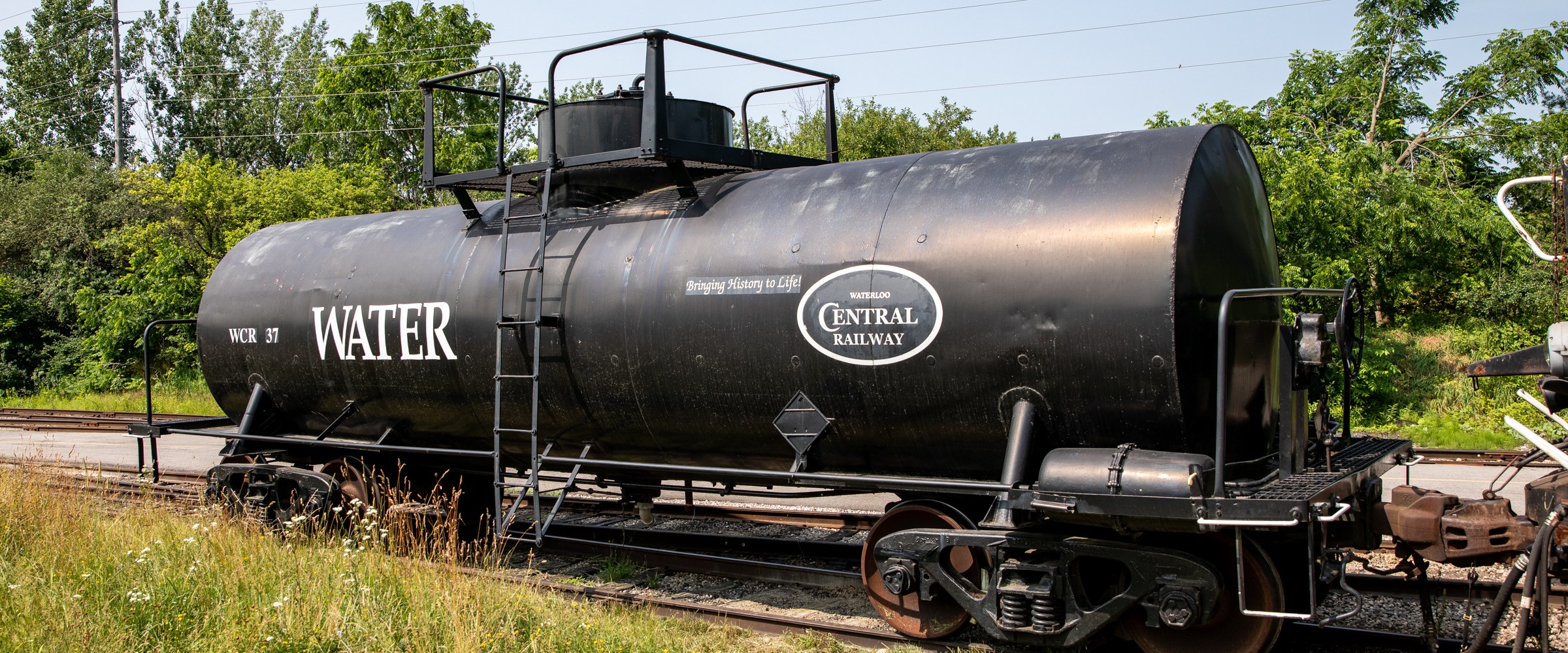 a train that is sitting in the grass