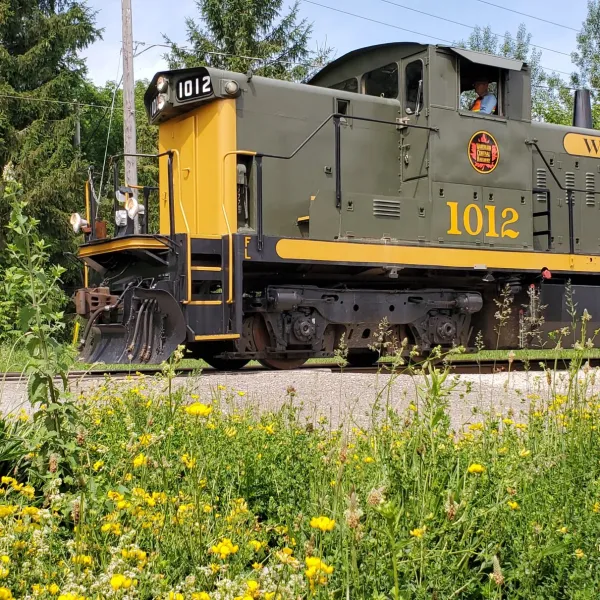 a train that is sitting in the grass