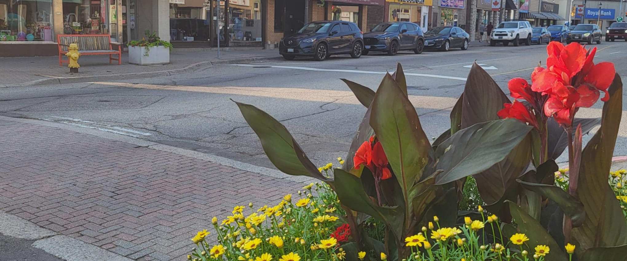 a vase of colorful flowers sitting on top of a building
