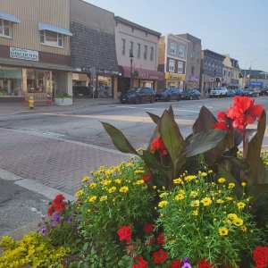 a vase of colorful flowers sitting on top of a building