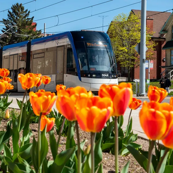a vase of flowers on a table