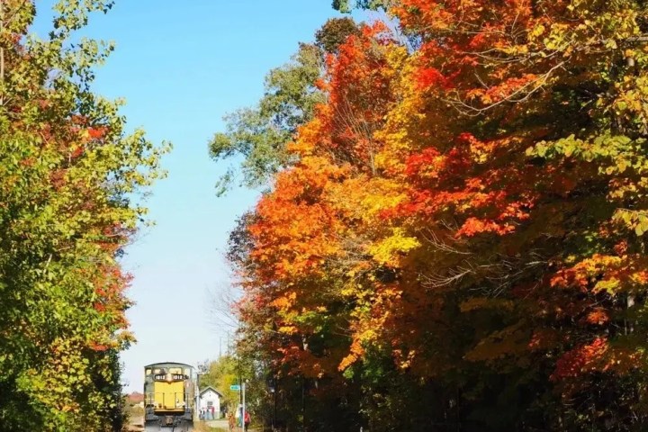 Train on tracks in autumn forest with vibrant foliage.