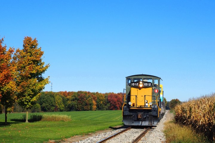 Yellow train on track between autumn trees and cornfield under clear blue sky.