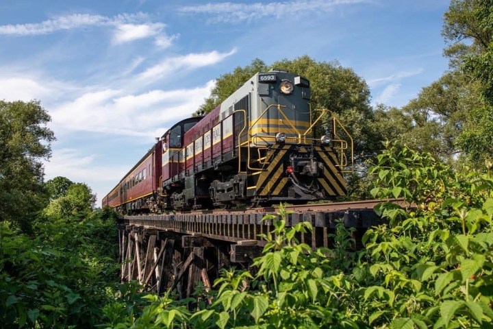 a train traveling down train tracks near a forest