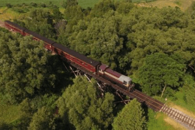 a train traveling down train tracks near a forest