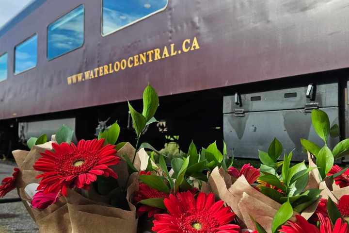 a close up of a flower