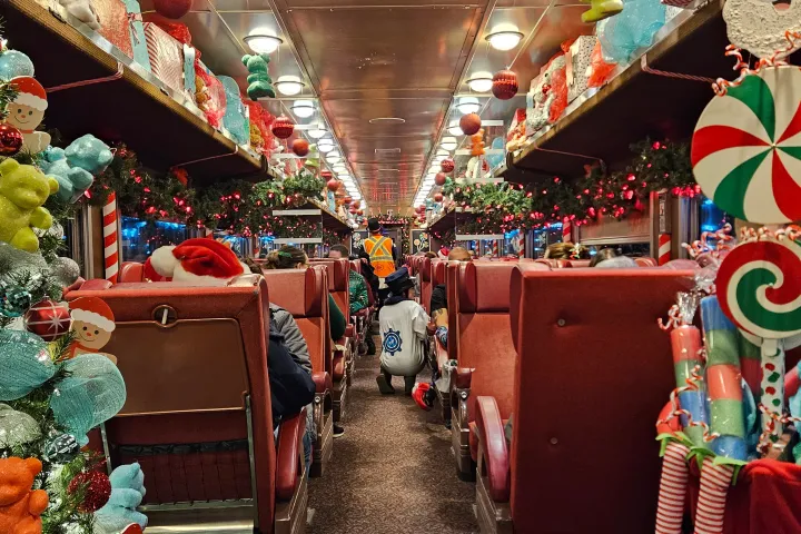 a christmas tree in a room