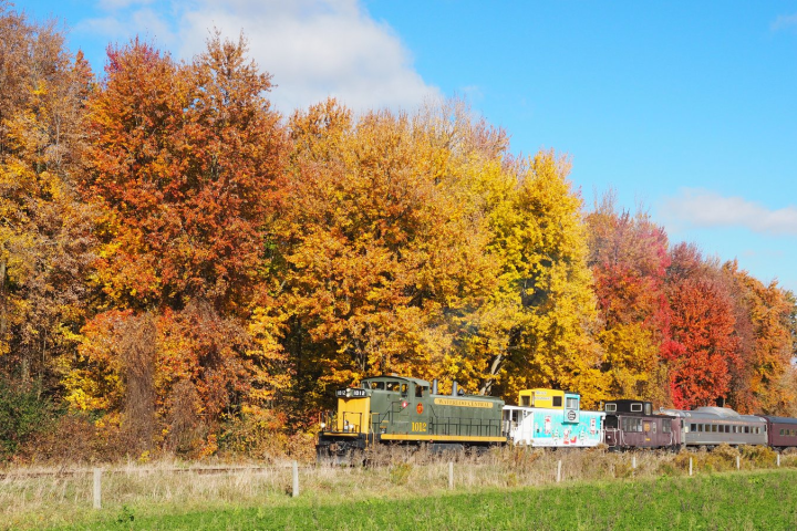 a train traveling down train tracks near a forest