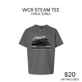 a person with collar shirt