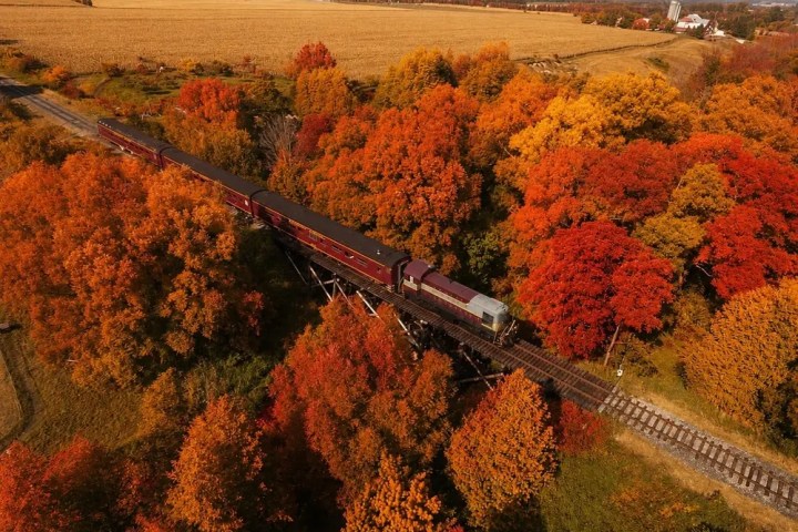Train passing through a vibrant autumn landscape with red and orange trees.