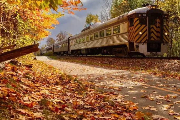 A train on a track surrounded by colorful autumn trees and fallen leaves.