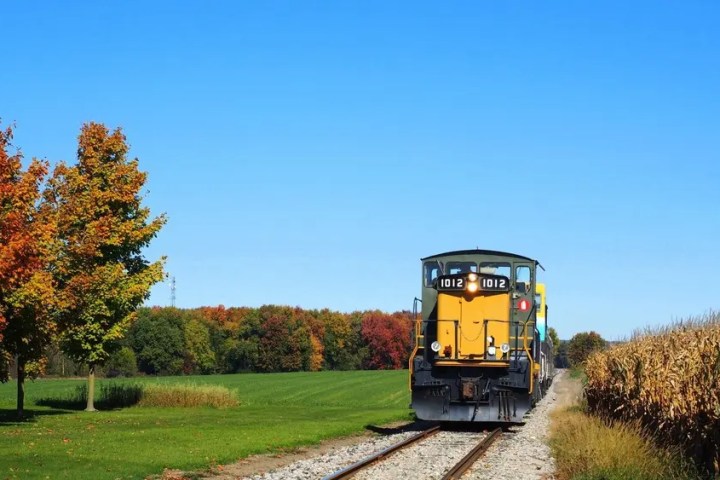 Train on tracks between cornfield and autumn trees under clear blue sky.