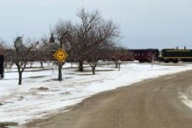 Mascots of pancake and syrup bottle near snowy road, sign reads 'Maple Syrup'.