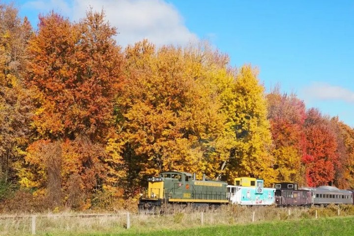 Train passing through colorful autumn trees under a blue sky.