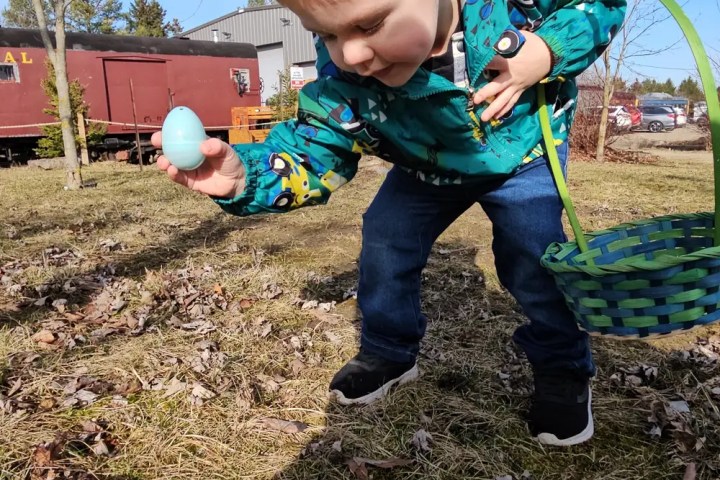 Child in blue jacket holding a basket and a blue egg in a grassy field.