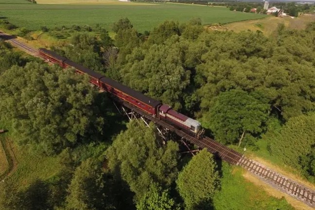 Train on bridge over greenery with fields in background.