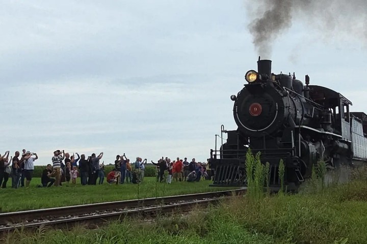 Steam train moving past people taking photos near tracks.