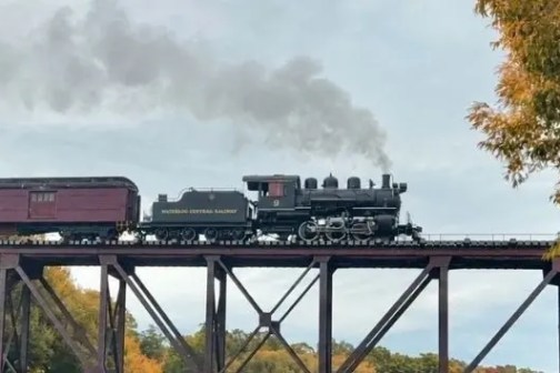 Steam train crosses tall bridge with trees below and cloudy sky.