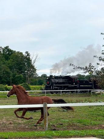 A horse running in a field with a steam train in the background.